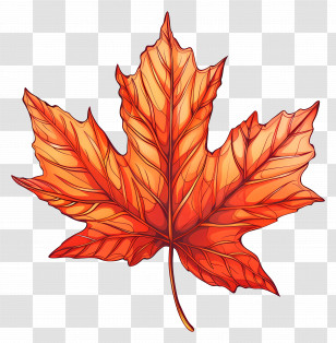Maple Leaf - Bright Orange Maple Leaf Illustration For Autumn Transparent PNG