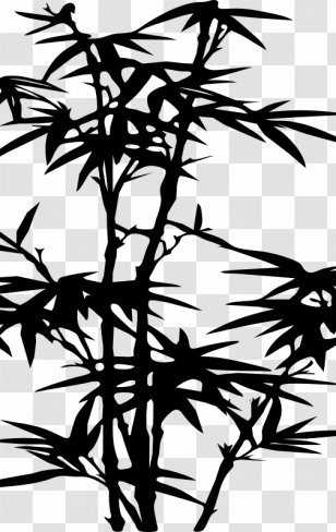 Bamboo Silhouette Drawing Clip Art - Visual Arts - Sketch Transparent PNG