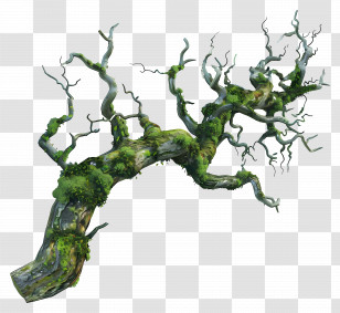 Tree Branch Moss - Weathered Tree Branch Covered In Moss Transparent PNG