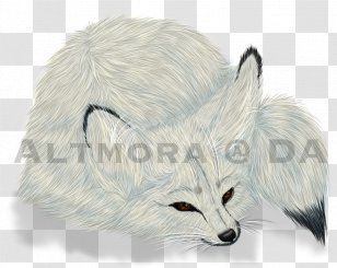 Red Fox Whiskers Fur Snout Transparent PNG