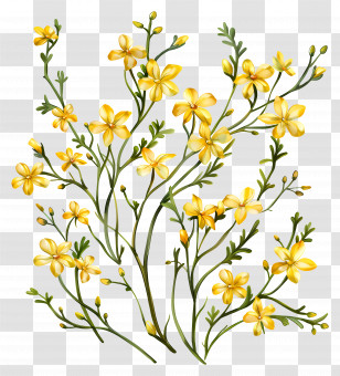 Yellow Flowers - Yellow Flowers On Branches Illustration Transparent PNG