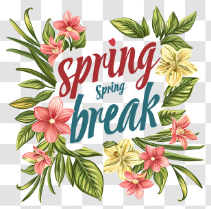 Spring Break - Spring Break Illustration With Floral Design Transparent PNG