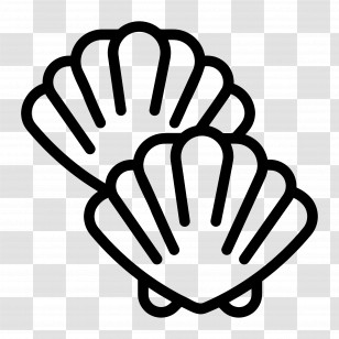 Shells - Seashells Line Art Transparent PNG