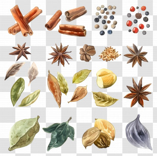 Spices - Assorted Spices Illustration Transparent PNG