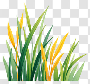 Watercolor Grass Background - Vibrant Green And Yellow Grass Transparent PNG