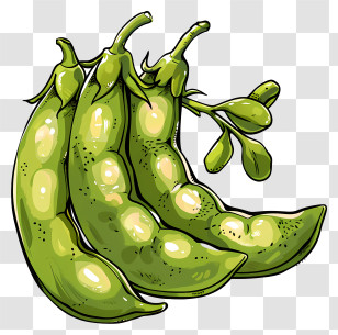 Broad Beans - Fresh Green Pea Pods Illustration Transparent PNG