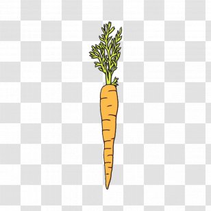 Cartoon Baby Plant Herb Arracacia Xanthorrhiza Transparent Png