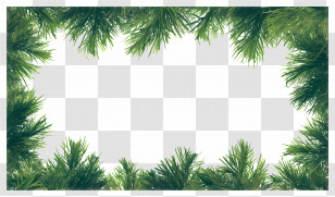 Christmas Pine Frame - Natural Pine Tree Frame For Seasonal Decor Transparent PNG