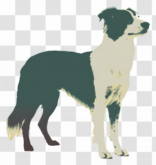 Dog - Black And White Dog Silhouette Transparent PNG