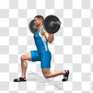 Exercise Physical Fitness Barbell BOSU Cable Machine - Tree Transparent PNG