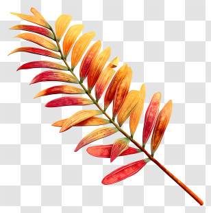 Palm Branch - Colorful Autumn Leaf Illustration Transparent PNG