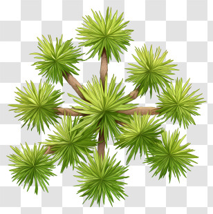 Tree Plan - Green Plant With Spiky Leaves Transparent PNG