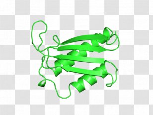 Macrophage Free Content Royalty-free Clip Art - Symbol - Cliparts Transparent PNG