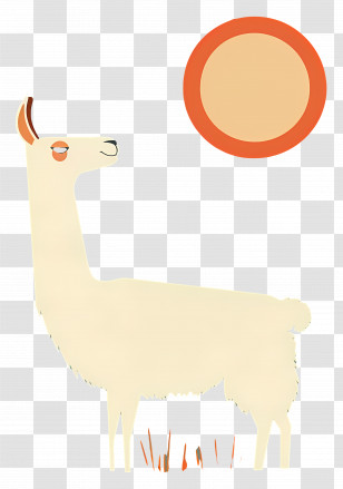 Llama - Llama With Sun Illustration Transparent PNG