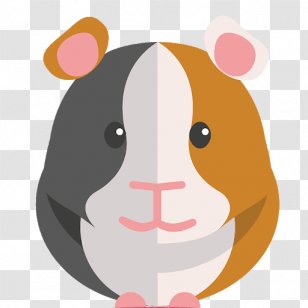 Guinea Pig Care Hamster Mouse - Pet Transparent PNG