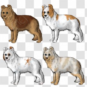 Dog Breed Rare (dog) Puppy Group Transparent PNG