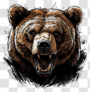 Grizzly Bear - Fierce Roaring Bear Illustration Transparent PNG