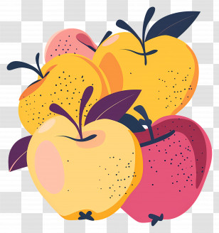 Apples - Illustration Of Colorful Apples Transparent PNG