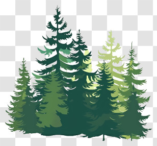 International Day Of Forests - Lush Green Pine Trees In Forest Illustration Transparent PNG