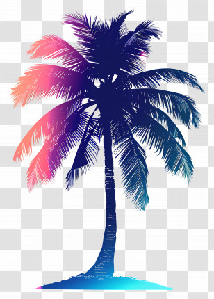 Palm Tree Silhouette - Tropical Palm Tree Silhouette Transparent PNG