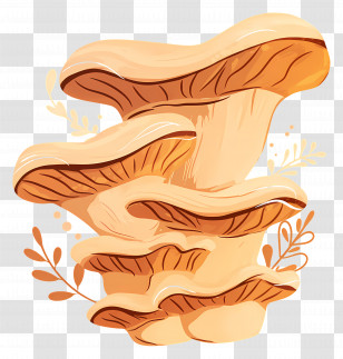 Oyster Fungus Mushroom - Illustrative Cluster Of Artistic Brown Mushrooms Transparent PNG