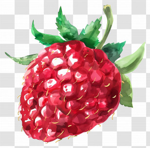 Raspberry - Watercolor Strawberry Illustration Transparent PNG