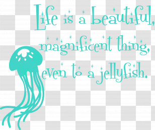 Jellyfish Transparent PNG