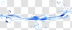 Data Diagram Sketch - Fish - Ice Splash Image Transparent PNG