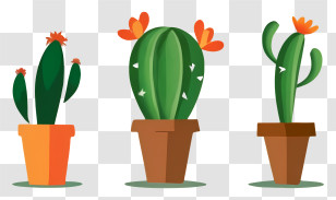 Cactus Plants - Cartoon Illustration Of Potted Cacti Transparent PNG