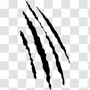 Scratch - Claw Scratch Marks Design Transparent PNG
