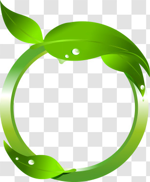 Leaf - Circular Green Leaf With Water Drops Design Transparent PNG