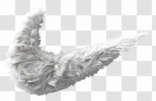 3d Fuzzy Logo - Soft White Feather Transparent PNG