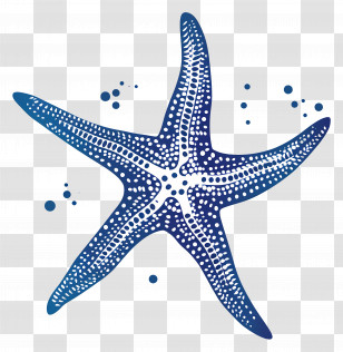 Starfish Silhouette - Blue Starfish Stylized Illustration Transparent PNG