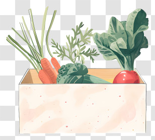 Vegetable Box - Fresh Vegetables In A Box Illustration Transparent PNG
