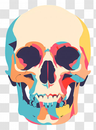 Skull - Abstract Colorful Human Skull Illustration Transparent PNG