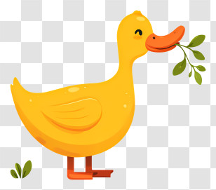 Duck Eating Food - Yellow Duck Holding A Leaf Transparent PNG