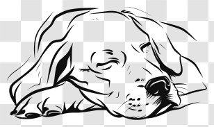 One Line Dog - Relaxed Sleeping Dog Illustration Transparent PNG