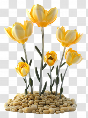 Yellow Flowers - Yellow Tulip Flowers On Decorative Pebbles Transparent PNG