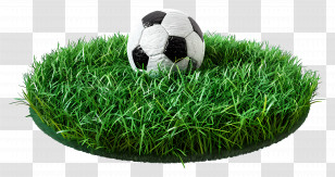 Soccer Ball - Soccer Ball Resting On Green Grass Transparent PNG