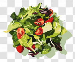 Salad - Fresh Vegetable Salad Transparent PNG