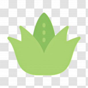 Aloe Vera - Simple Green Leaf Illustration Transparent PNG