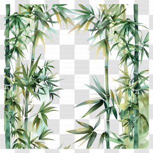 Bamboo Forest - Watercolor Bamboo Leaves Illustration Transparent PNG