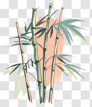 Bamboo - Illustration Of Bamboo Stalks And Leaves Transparent PNG