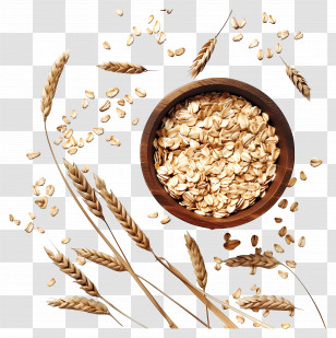 Oats - Bowl Of Oats With Wheat Stalks Transparent PNG