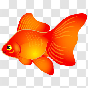 Fish - Bright Orange Goldfish Illustration Transparent PNG