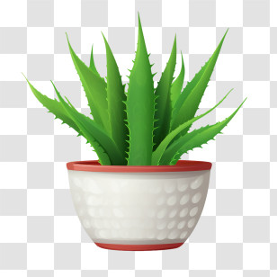 Aloe Vera - Lush Potted Aloe Vera In White Container Transparent PNG
