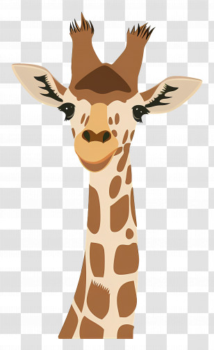 Cartoon Giraffe - Cartoon Illustration Of A Giraffe Transparent PNG