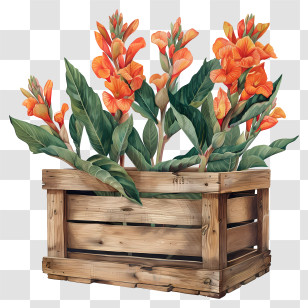 Canna Indica Flowers - Orange Flowers In A Rustic Wooden Crate Transparent PNG