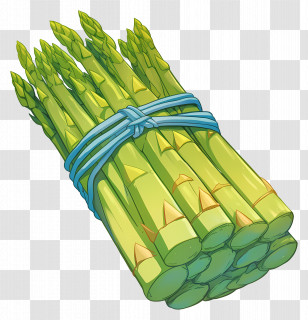 Asparagus - Fresh Asparagus Bundle Transparent PNG