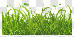 Grass Field Background - Green Grass Vibrant Nature Illustration Transparent PNG